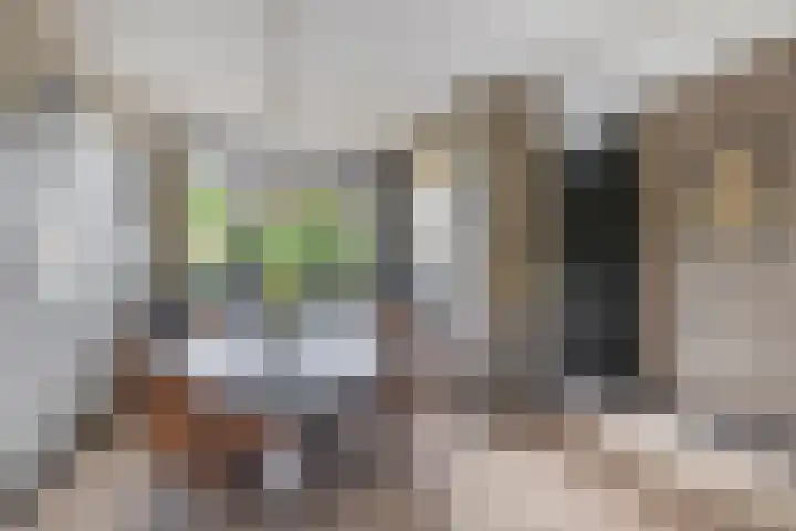 Klaproosveld 4 Nieuwerkerk aan den IJssel thumbnail 19