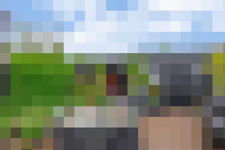 Klaproosveld 4 Nieuwerkerk aan den IJssel thumbnail 27