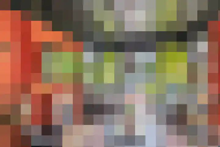 Klaproosveld 4 Nieuwerkerk aan den IJssel thumbnail 30