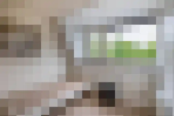 Klaproosveld 4 Nieuwerkerk aan den IJssel thumbnail 39