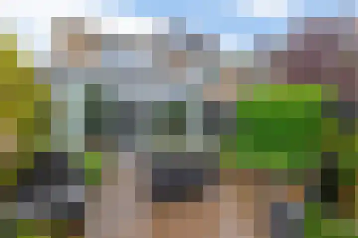Klaproosveld 4 Nieuwerkerk aan den IJssel thumbnail 4