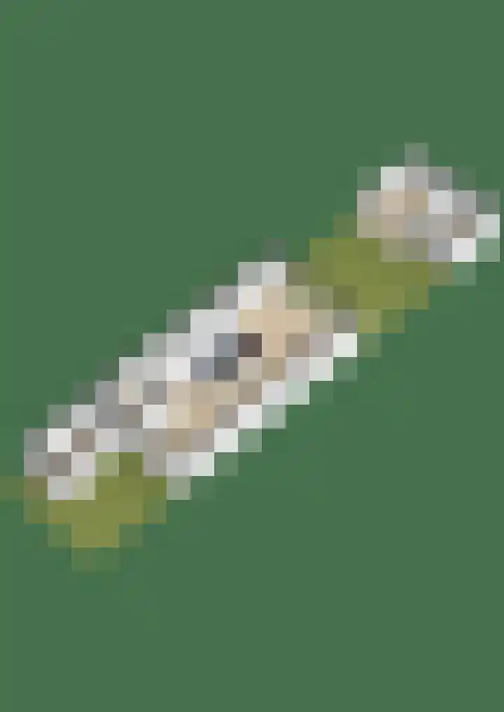 Klaproosveld 4 Nieuwerkerk aan den IJssel thumbnail 43