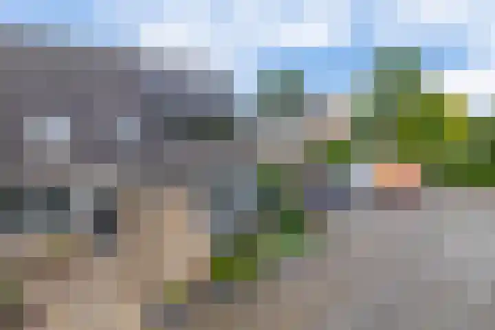 Klaproosveld 4 Nieuwerkerk aan den IJssel thumbnail 5