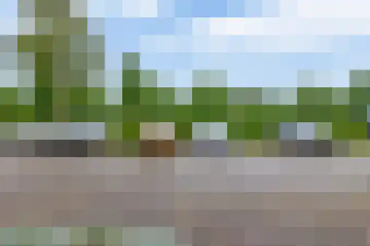 Klaproosveld 4 Nieuwerkerk aan den IJssel thumbnail 9