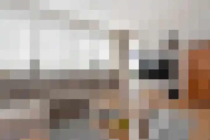 Klaproosveld 9 Den Haag thumbnail 11