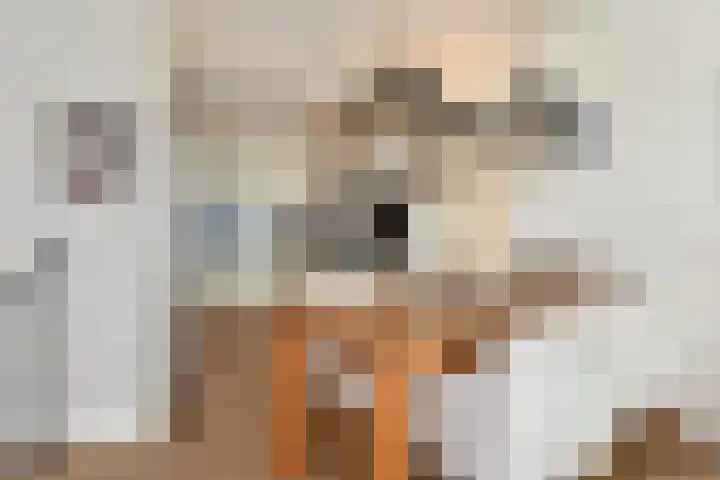 Klaproosveld 9 Den Haag thumbnail 15
