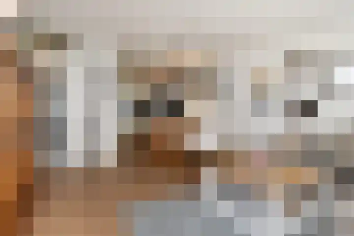 Klaproosveld 9 Den Haag thumbnail 16