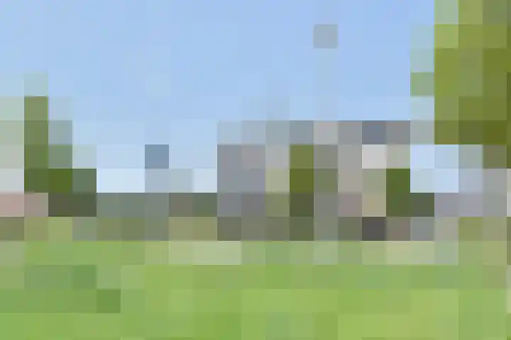 Klaproosveld 9 Den Haag thumbnail 31