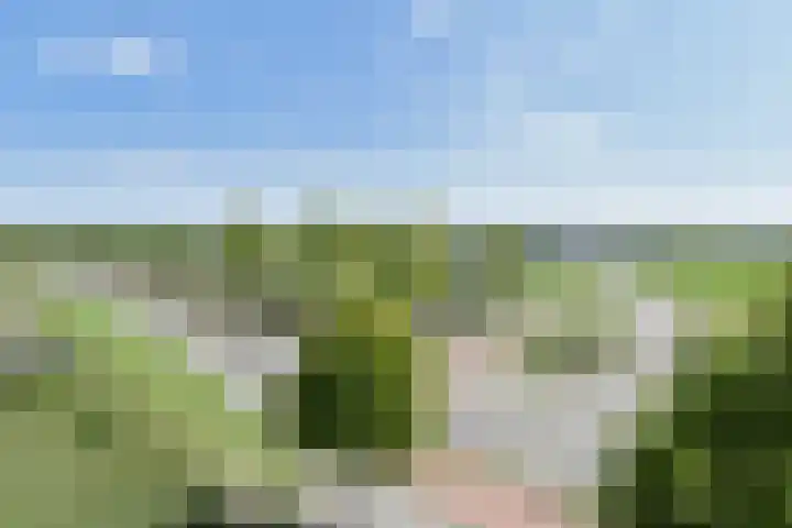 Klaproosveld 9 Den Haag thumbnail 32
