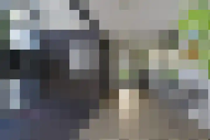 Klaproosveld 9 Den Haag thumbnail 4