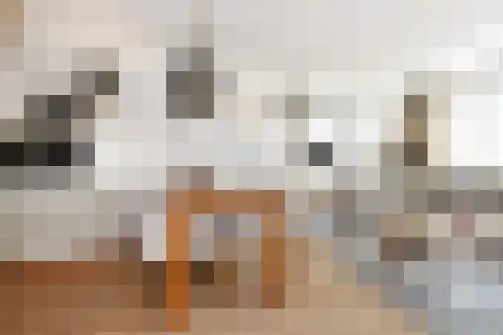 Klaproosveld 9 Den Haag thumbnail 8