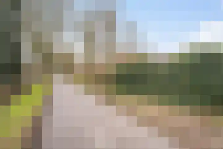 Klaproosweg 11 Zwolle thumbnail 33