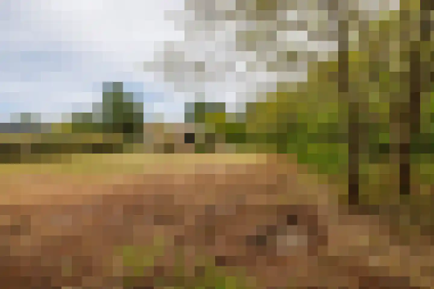 Klaproosweg 409 Ballum thumbnail 22