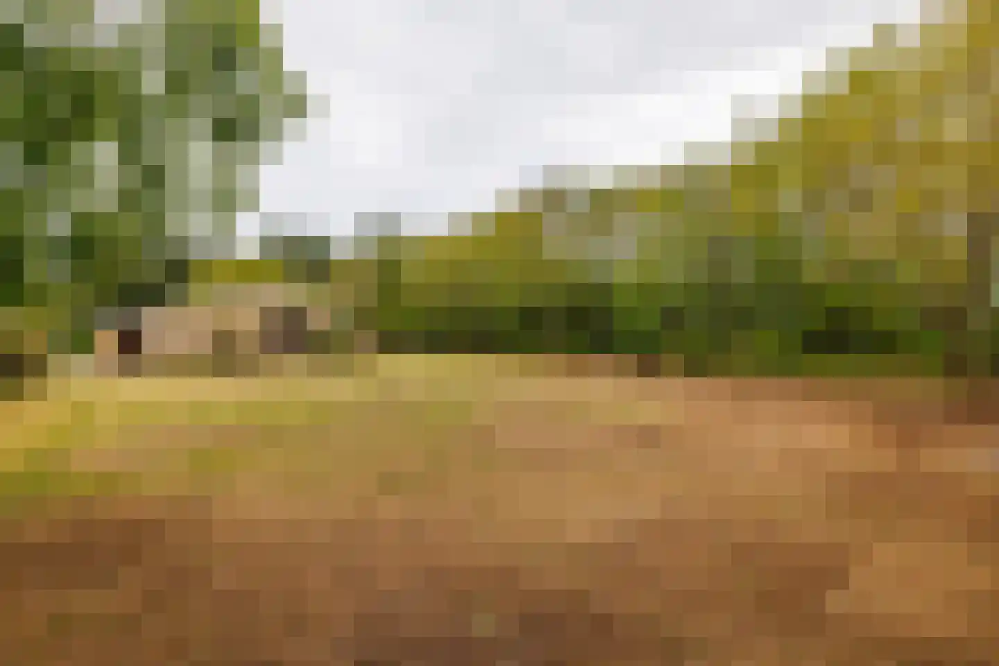 Klaproosweg 409 Ballum thumbnail 23