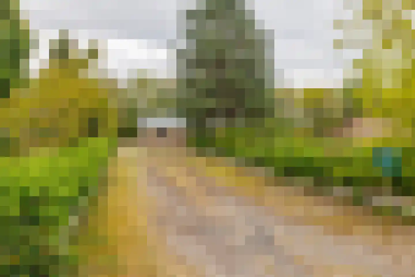 Klaproosweg 409 Ballum thumbnail 26