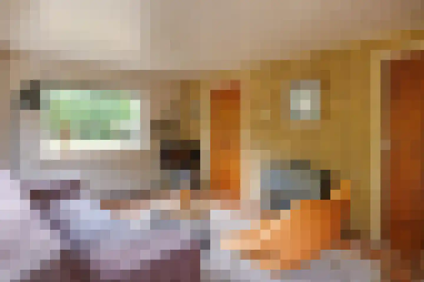 Klaproosweg 409 Ballum thumbnail 32