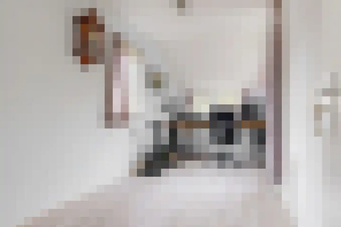 Klaproosweide 2 Woerden thumbnail 13