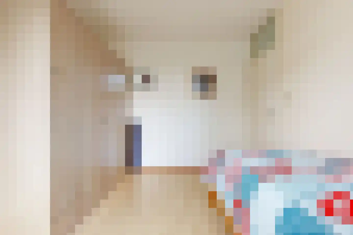 Klaproosweide 2 Woerden thumbnail 16