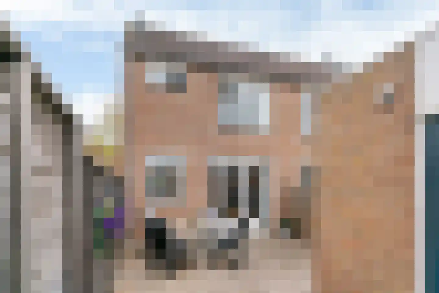 Klaproosweide 2 Woerden thumbnail 30