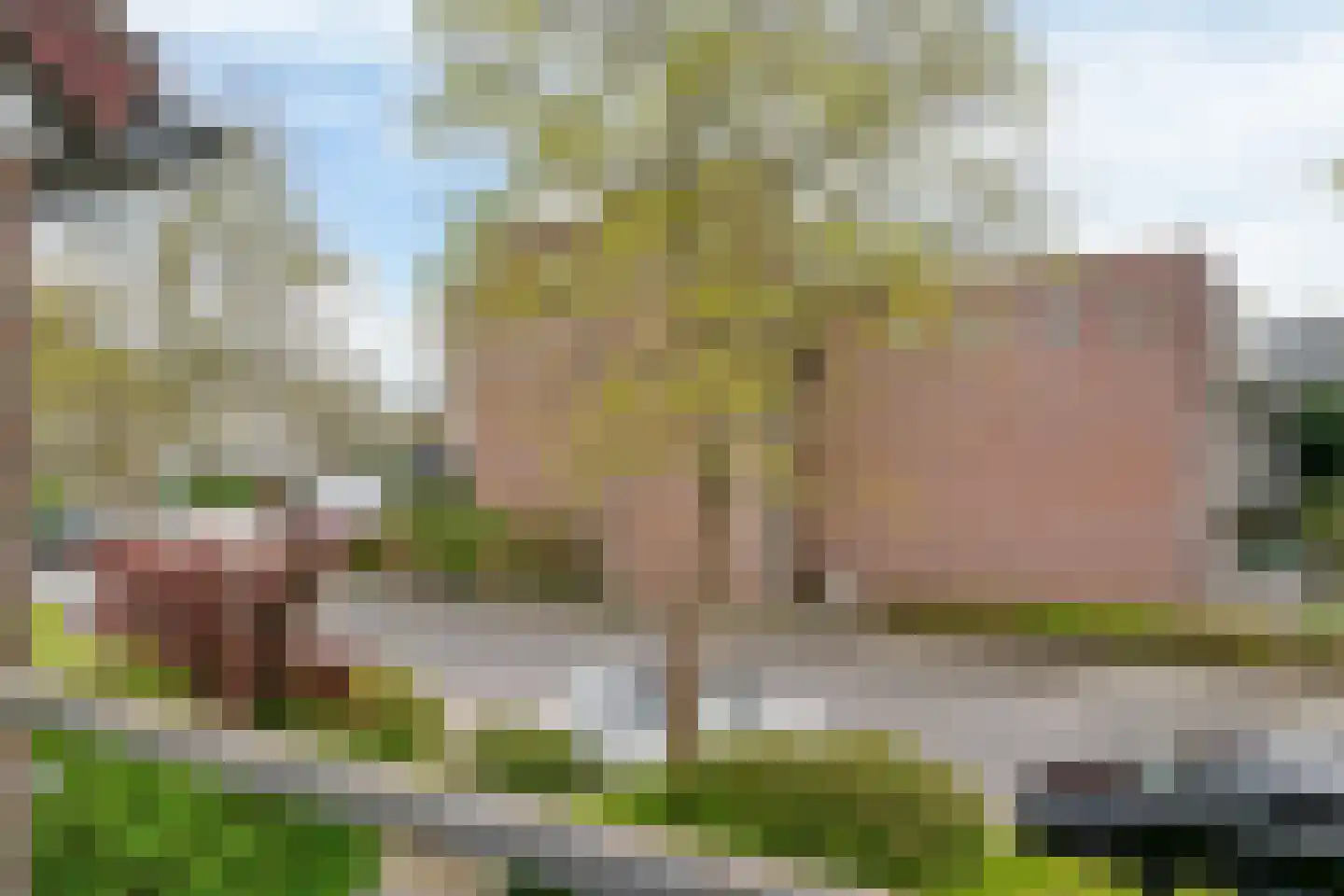 Klaproosweide 2 Woerden thumbnail 33