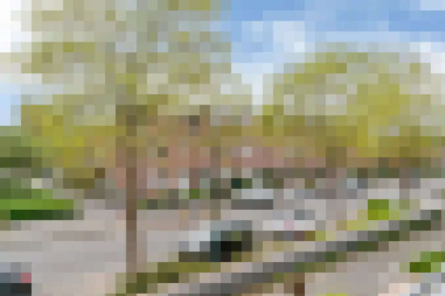 Klaproosweide 2 Woerden thumbnail 34