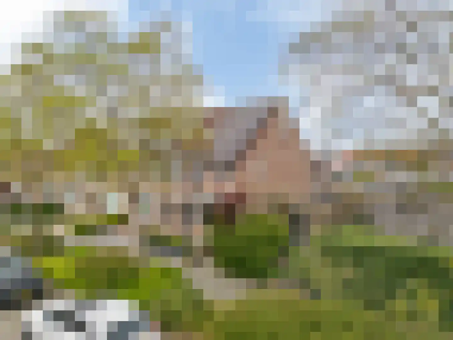 Klaproosweide 2 Woerden thumbnail 35