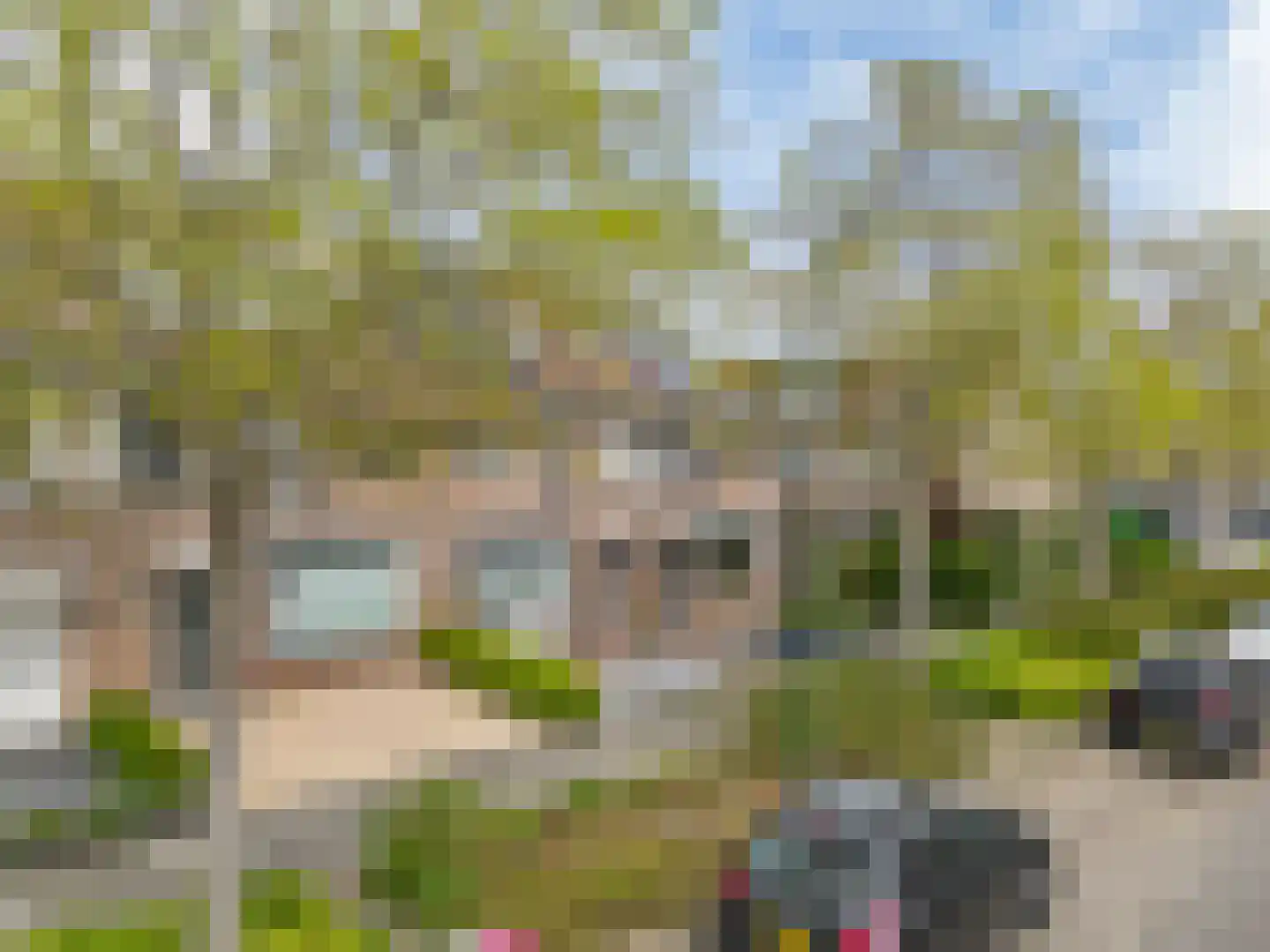 Klaproosweide 2 Woerden thumbnail 36