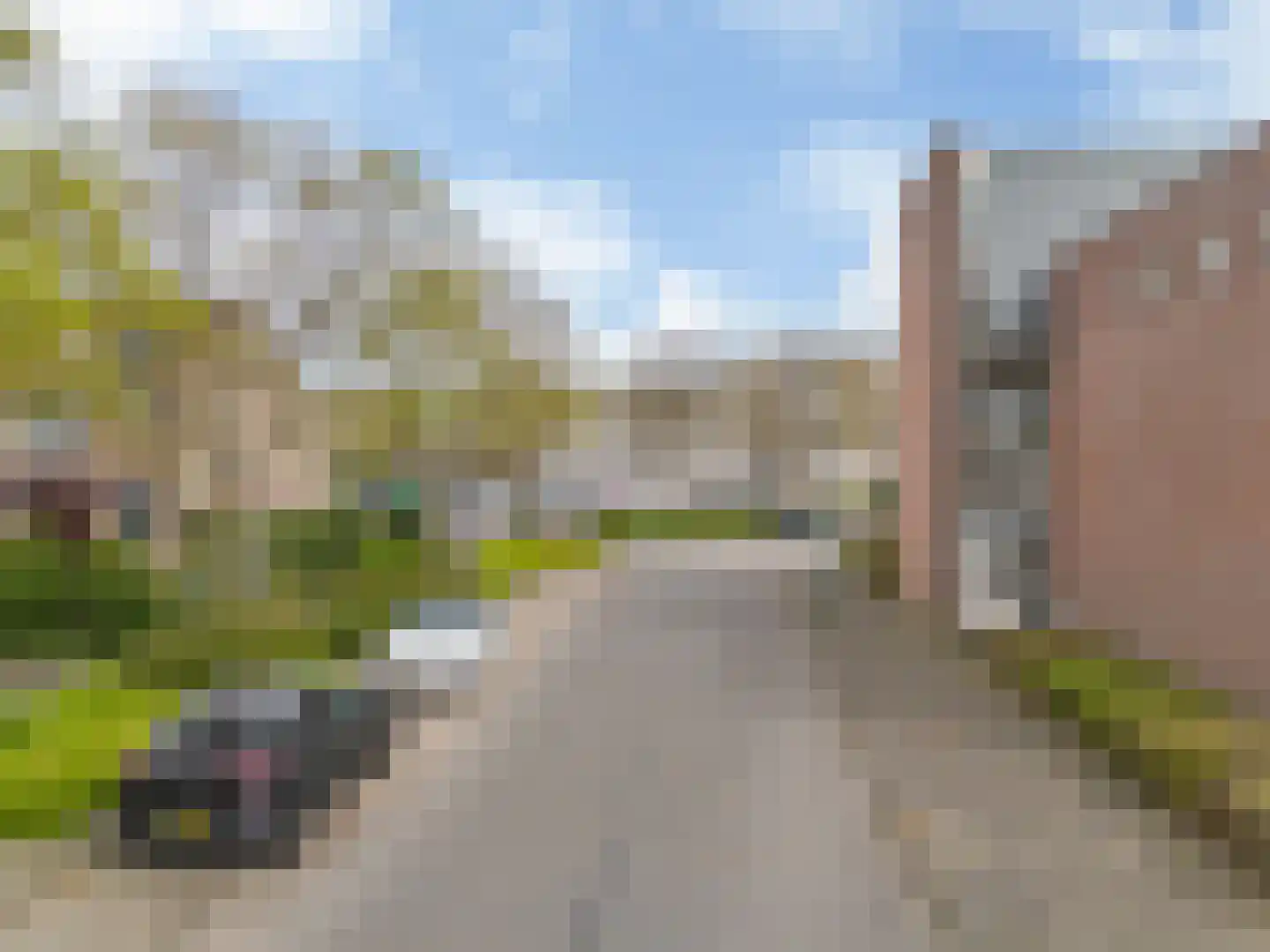 Klaproosweide 2 Woerden thumbnail 37
