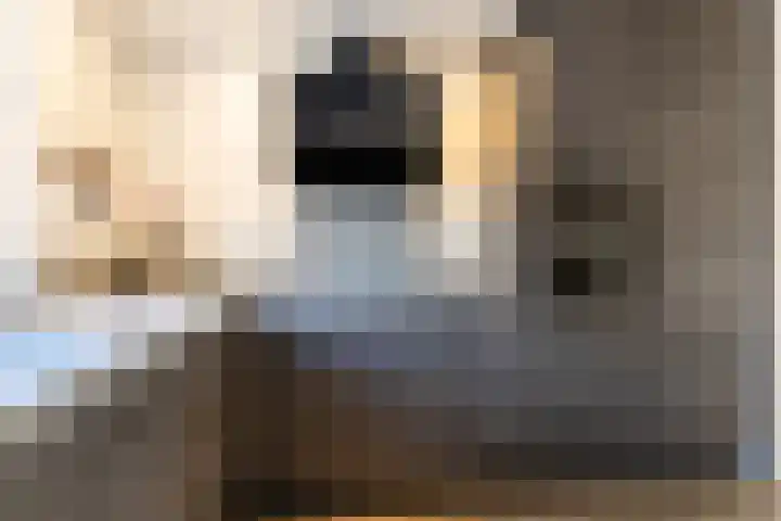 Klaproosweide 3 Woerden thumbnail 15