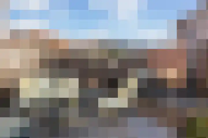 Klaproosweide 3 Woerden thumbnail 18