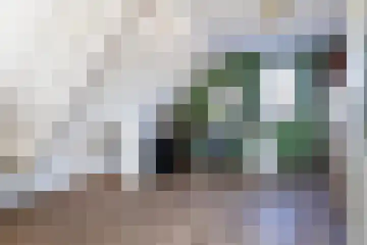 Klaproosweide 3 Woerden thumbnail 33