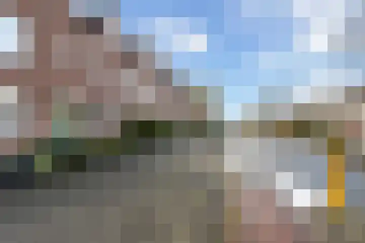 Klaproosweide 3 Woerden thumbnail 36