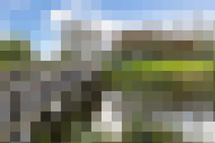 Klaproosweide 3 Woerden thumbnail 39