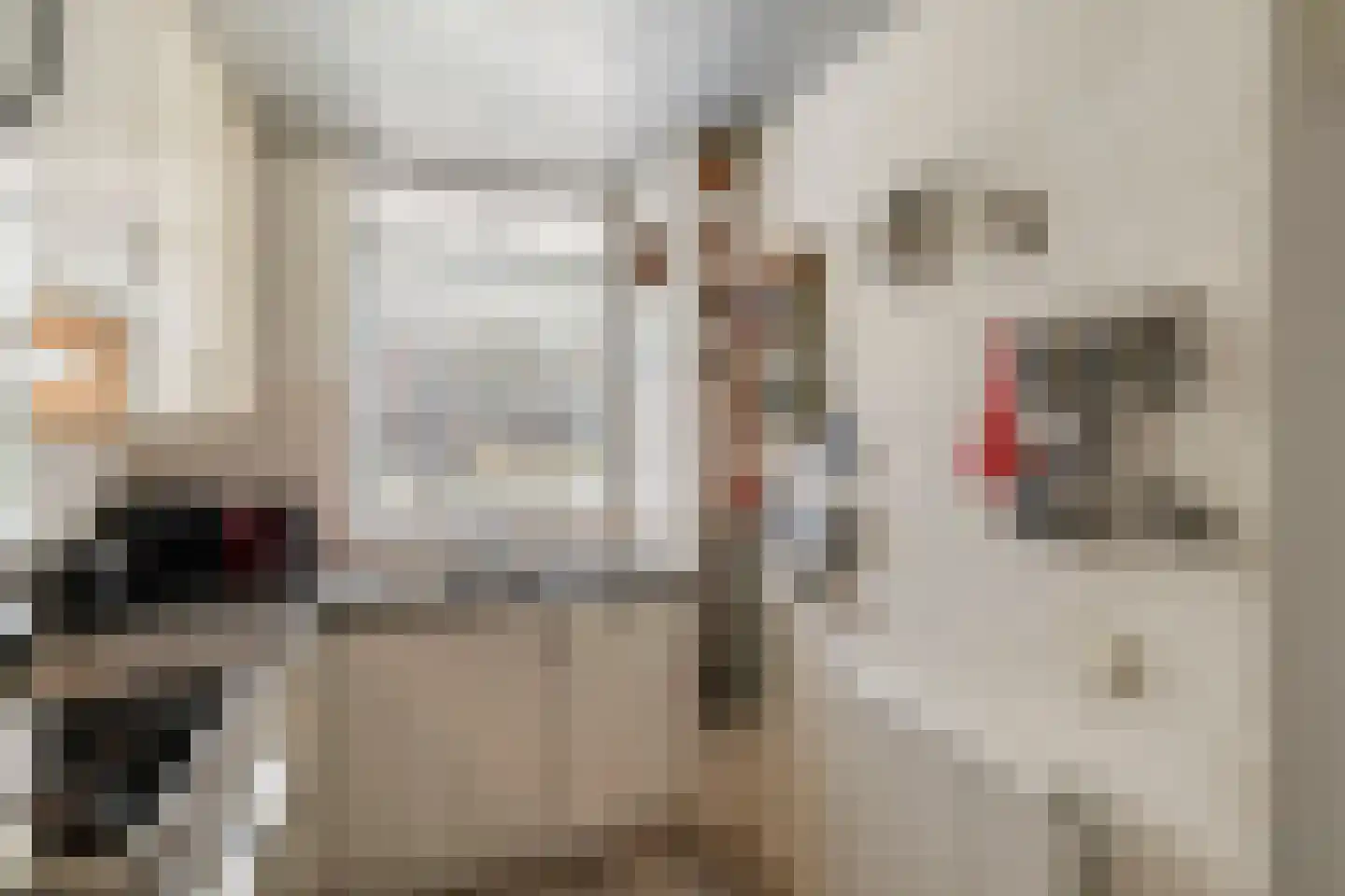 Klaproosweide 36 Woerden thumbnail 12