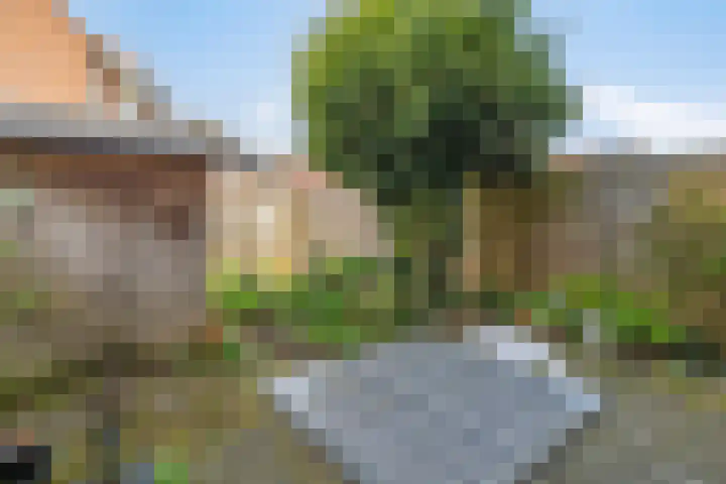 Klaproosweide 36 Woerden thumbnail 24