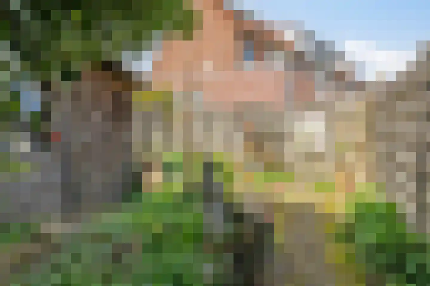 Klaproosweide 36 Woerden thumbnail 25