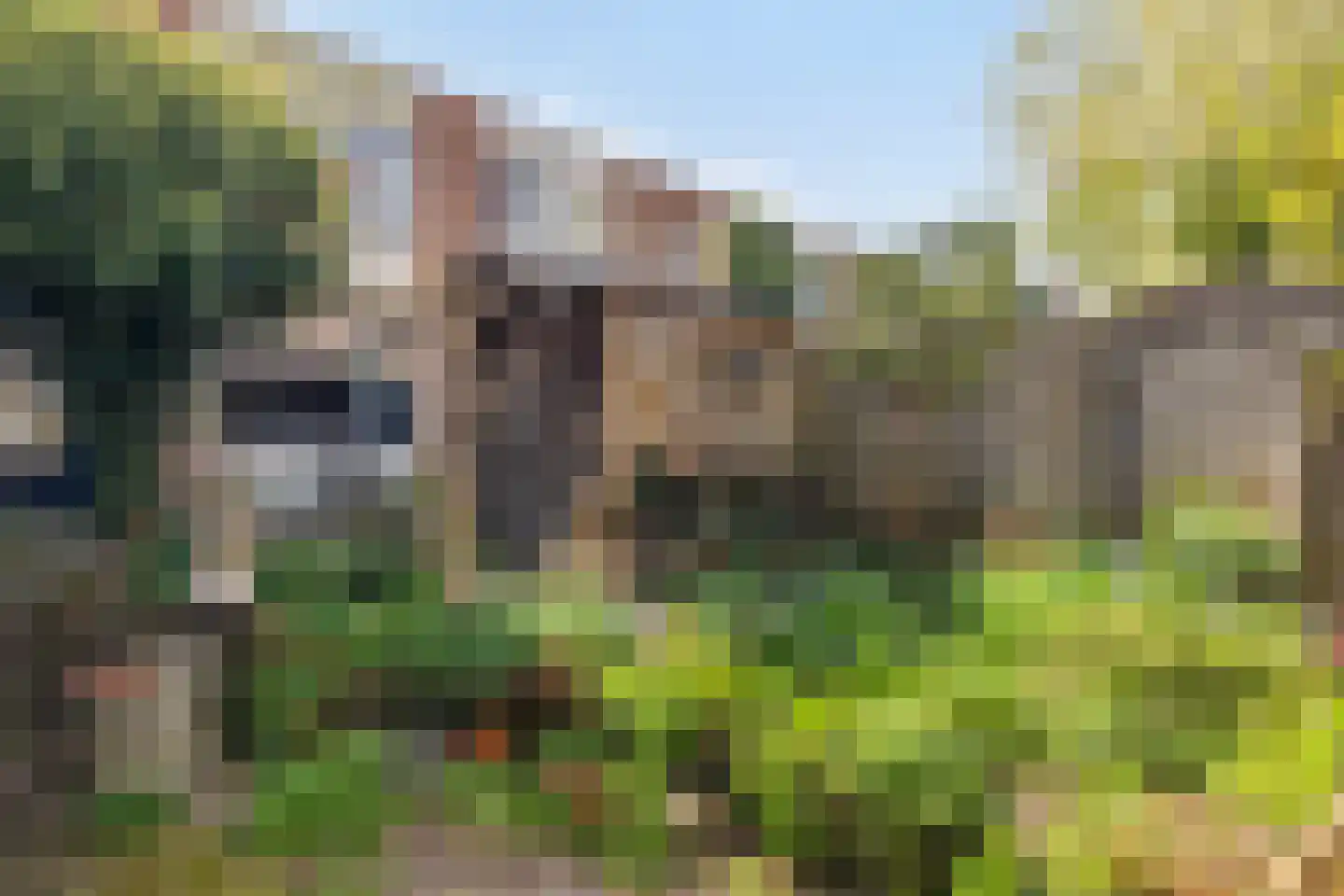 Klaproosweide 36 Woerden thumbnail 26