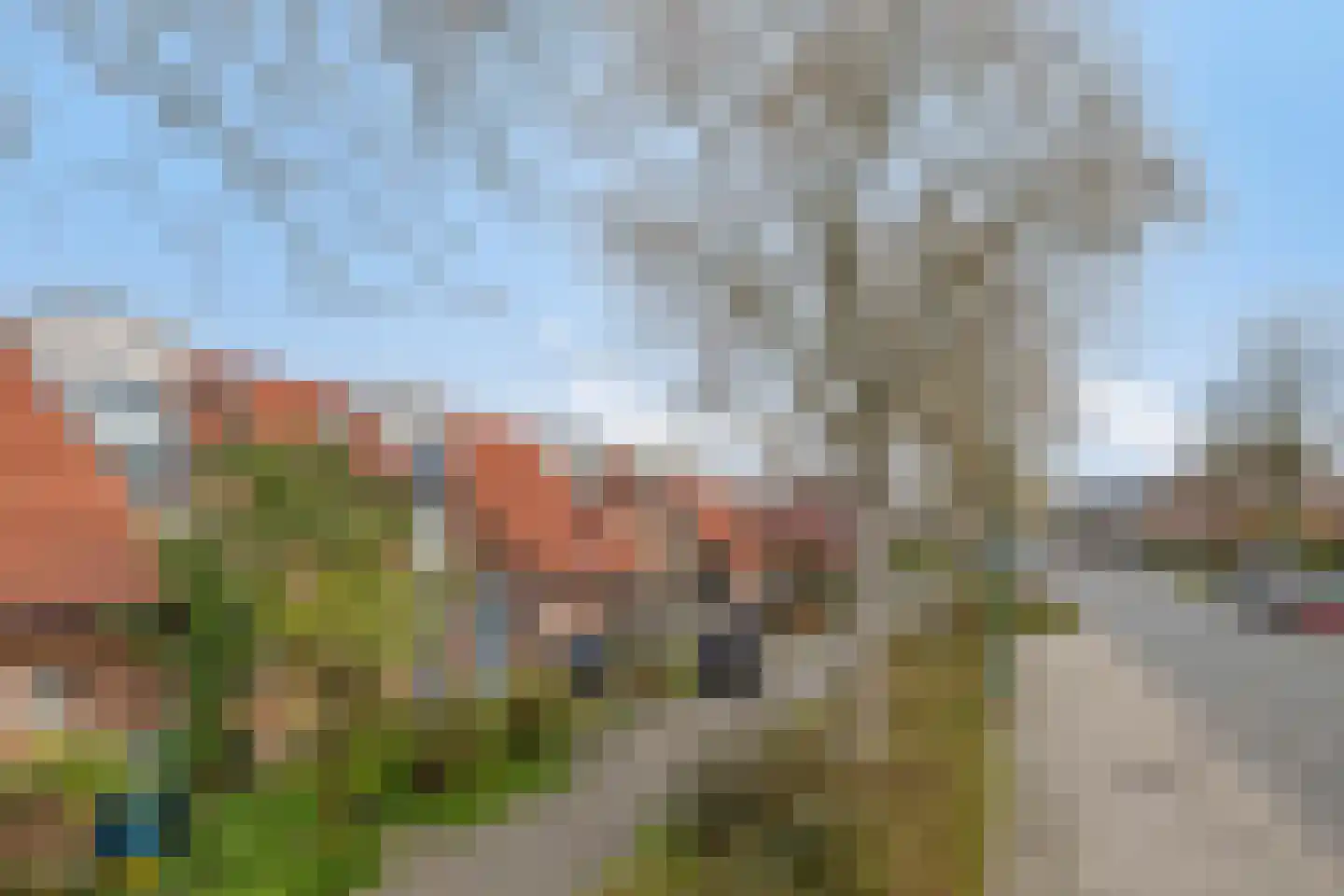 Klaproosweide 36 Woerden thumbnail 4