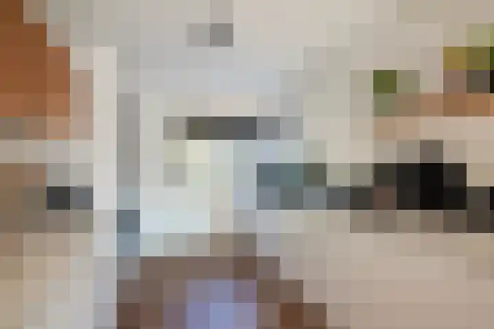 Klaproosweide 43 Woerden thumbnail 12