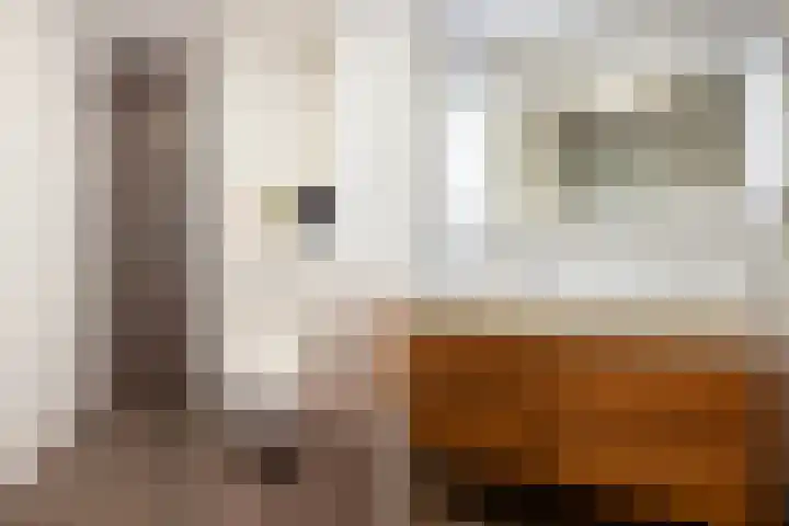 Klaproosweide 43 Woerden thumbnail 17