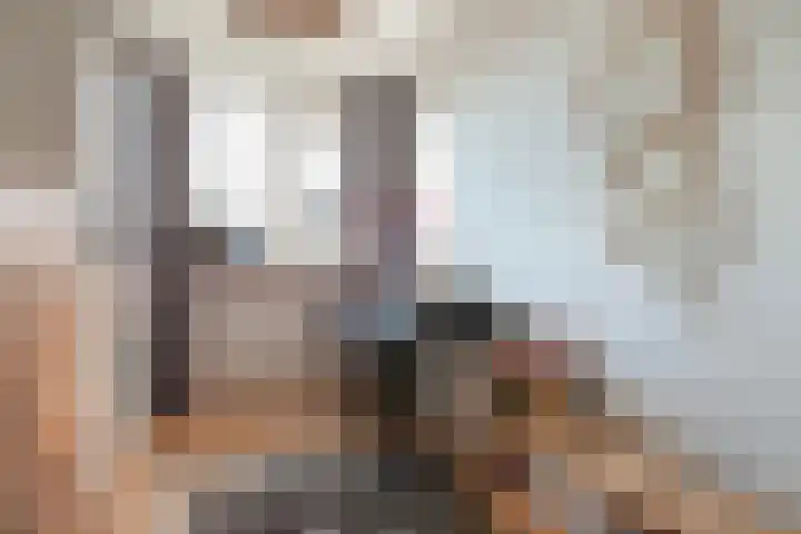 Klaproosweide 43 Woerden thumbnail 21