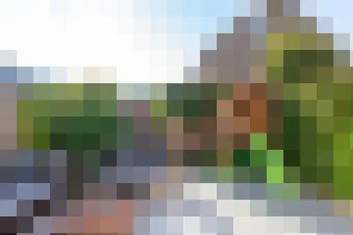 Klaproosweide 43 Woerden thumbnail 31