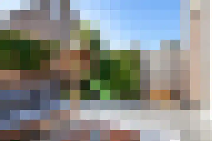 Klaproosweide 43 Woerden thumbnail 32