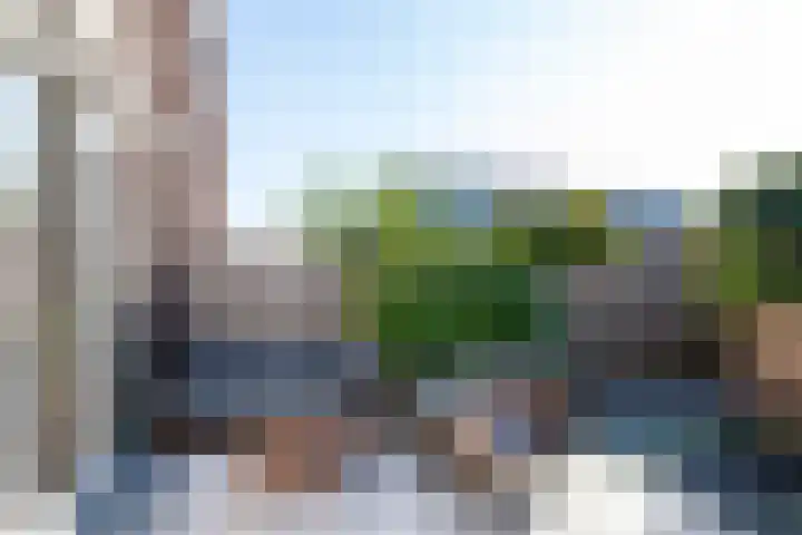 Klaproosweide 43 Woerden thumbnail 33