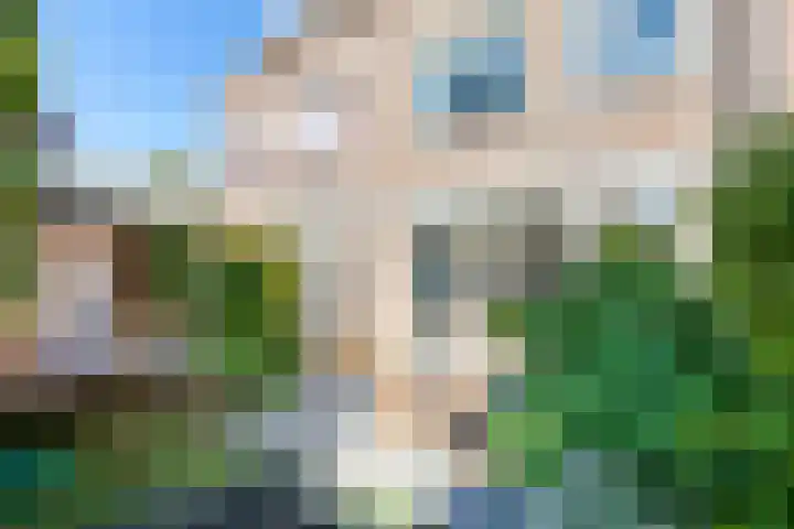 Klaproosweide 43 Woerden thumbnail 34