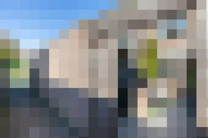 Klaproosweide 43 Woerden thumbnail 35