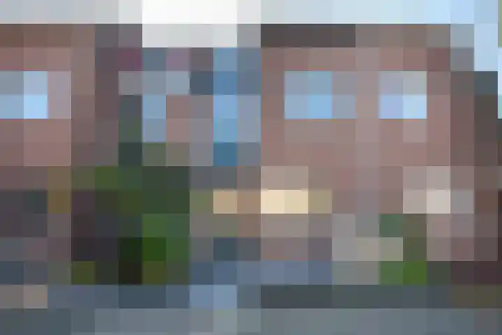 Klaproosweide 43 Woerden thumbnail 36