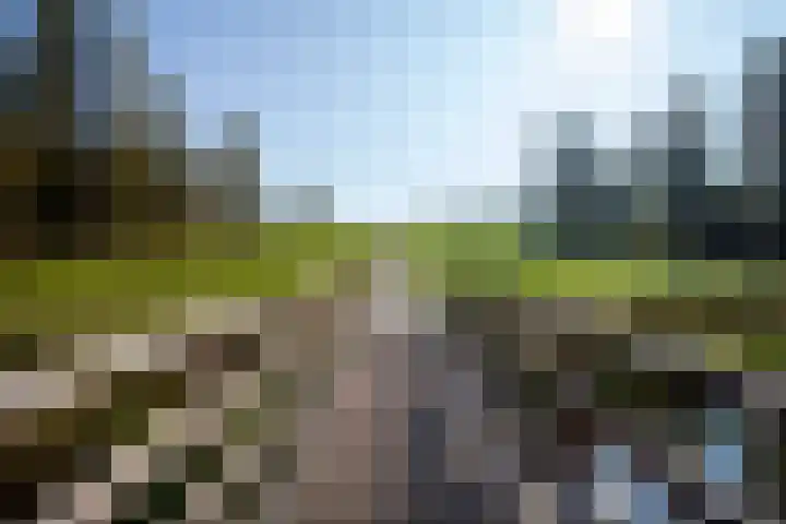 Klaproosweide 43 Woerden thumbnail 37