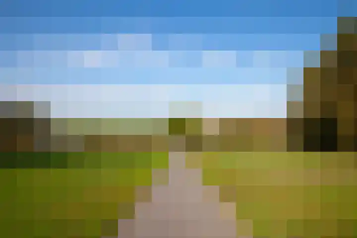 Klaproosweide 43 Woerden thumbnail 38