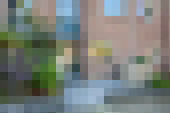 Klaproosweide 43 Woerden thumbnail 4